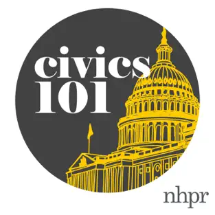 Read more about the article Civics 101